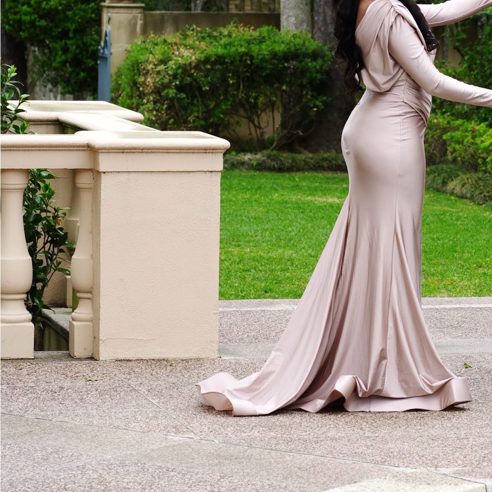 Elegant Long Sleeve blush pink Dress